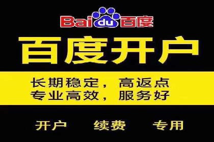 行业领先企业的SEM推广代运营实战经验